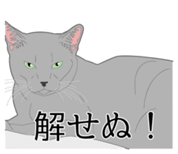 Realistic system cat sticker #7549572