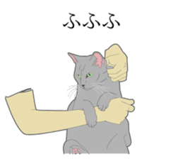 Realistic system cat sticker #7549573