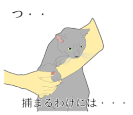 Realistic system cat sticker #7549574