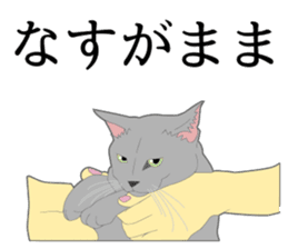 Realistic system cat sticker #7549576