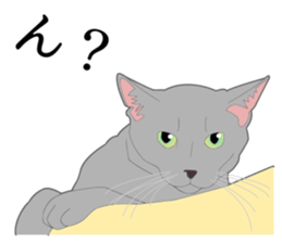 Realistic system cat sticker #7549578