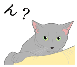 Realistic system cat sticker #7549578