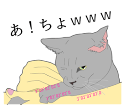 Realistic system cat sticker #7549579