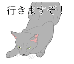 Realistic system cat sticker #7549580