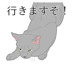 Realistic system cat sticker #7549580