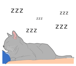 Realistic system cat sticker #7549582