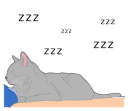 Realistic system cat sticker #7549582