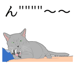 Realistic system cat sticker #7549583