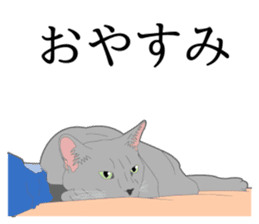 Realistic system cat sticker #7549584