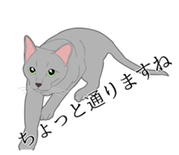 Realistic system cat sticker #7549585