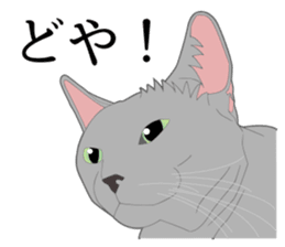 Realistic system cat sticker #7549586