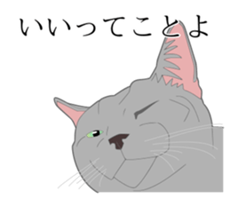 Realistic system cat sticker #7549587