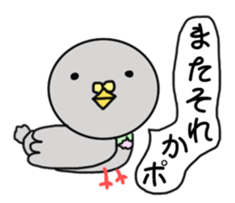 Riddled with pigeon sticker #7550016