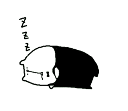 shiro to usachan sticker #7550799