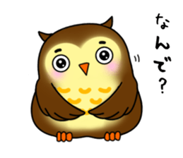 Owl with 40 emotion or pattern sticker #7551674