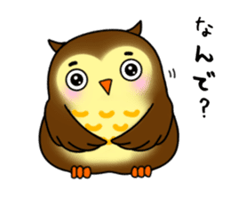 Owl with 40 emotion or pattern sticker #7551674