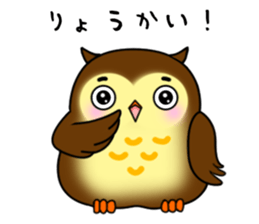 Owl with 40 emotion or pattern sticker #7551675