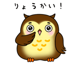 Owl with 40 emotion or pattern sticker #7551675