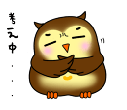 Owl with 40 emotion or pattern sticker #7551698