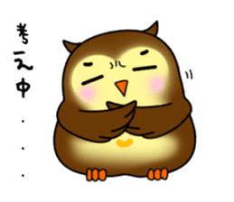 Owl with 40 emotion or pattern sticker #7551698