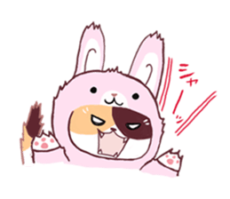 Cosplay cats by Aimi Ikenaga sticker #7554064