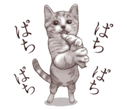 Strange pose cat 2 sticker #7559572