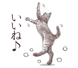 Strange pose cat 2 sticker #7559574
