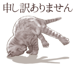 Strange pose cat 2 sticker #7559582