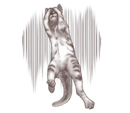 Strange pose cat 2 sticker #7559589