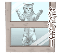 Strange pose cat 2 sticker #7559595