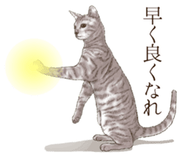 Strange pose cat 2 sticker #7559599
