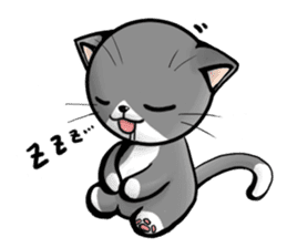 Stickers with a pretty cat (french) sticker #7560431