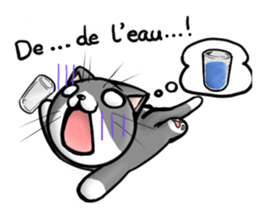 Stickers with a pretty cat (french) sticker #7560441