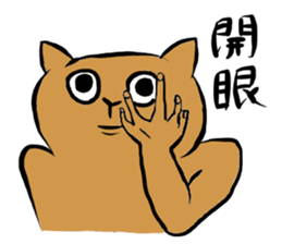 crazycute cat sticker #7561695