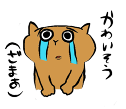 crazycute cat sticker #7561697