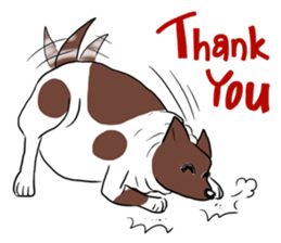 Fat Dog Slow Life sticker #7562893