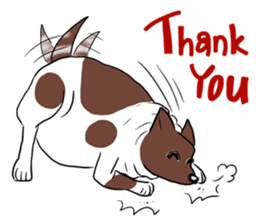 Fat Dog Slow Life sticker #7562893