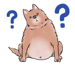 Fat Dog Slow Life sticker #7562896