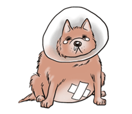 Fat Dog Slow Life sticker #7562897