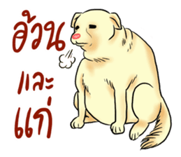 Fat Dog Slow Life sticker #7562900