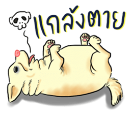 Fat Dog Slow Life sticker #7562902