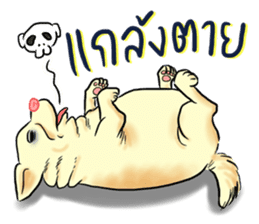 Fat Dog Slow Life sticker #7562902