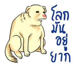 Fat Dog Slow Life sticker #7562903