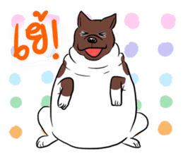 Fat Dog Slow Life sticker #7562907