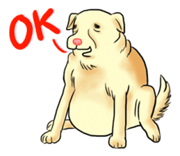 Fat Dog Slow Life sticker #7562912