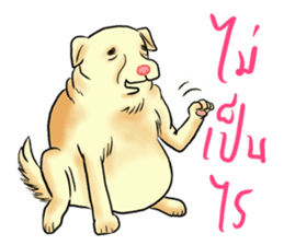 Fat Dog Slow Life sticker #7562914