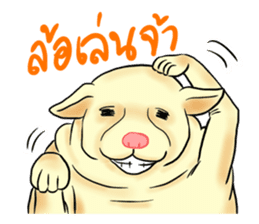 Fat Dog Slow Life sticker #7562915