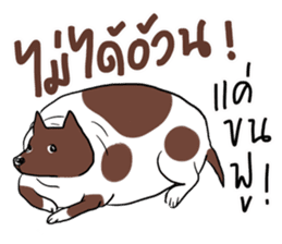 Fat Dog Slow Life sticker #7562917