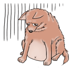 Fat Dog Slow Life sticker #7562922