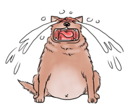 Fat Dog Slow Life sticker #7562923